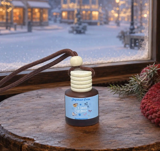 Diffuseur voiture je sens la neige ❄️ biscuit pain d’épice ✨