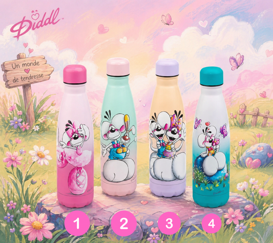Gourde en acier inoxydable - DIDDL (Collection 2)