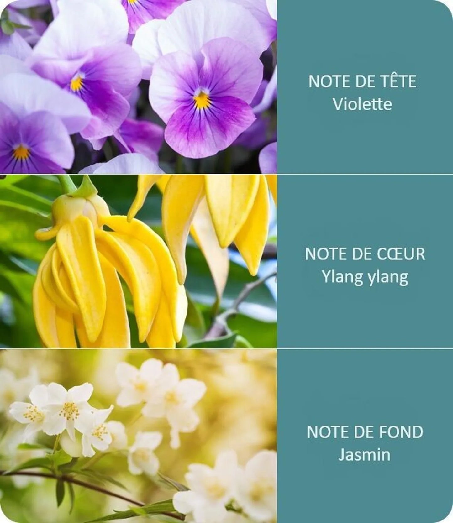 Bougie parfumée Ellipse 2 mèches Eveil des Sens
