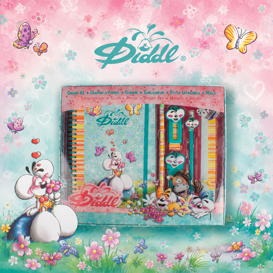 Coffret cadeau diddl ✨ PRÉCOMMANDE
