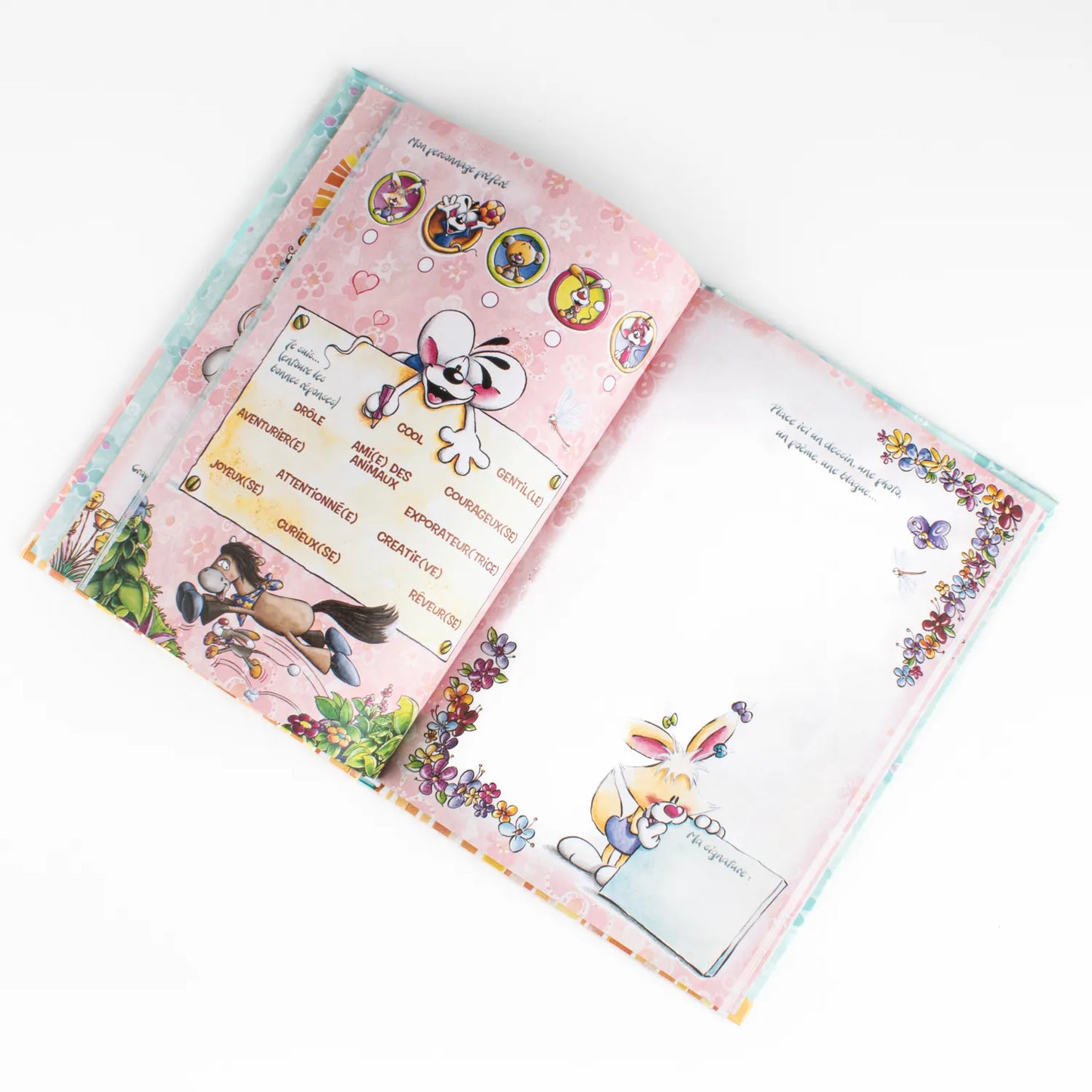 Livre d’Amis DIDDL 🌸 PRECOMMANDE