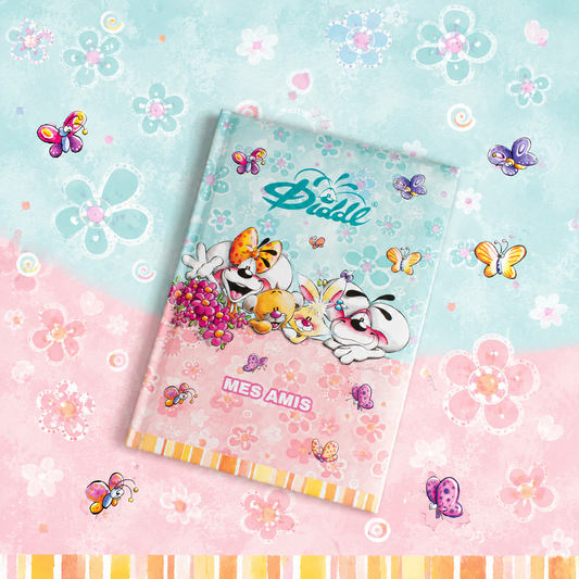 Livre d’Amis DIDDL 🌸 PRECOMMANDE