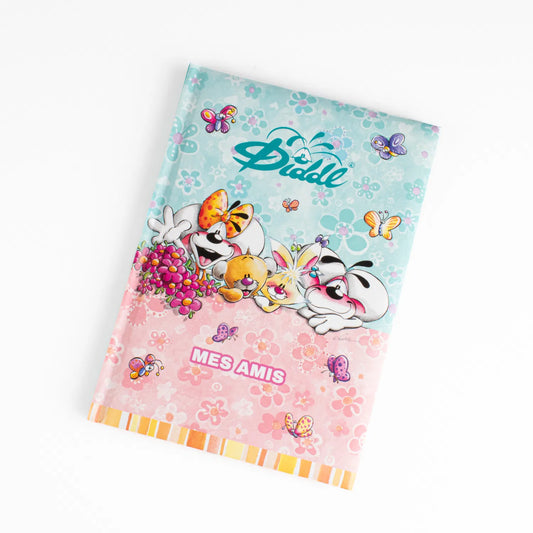 Livre d’Amis DIDDL 🌸